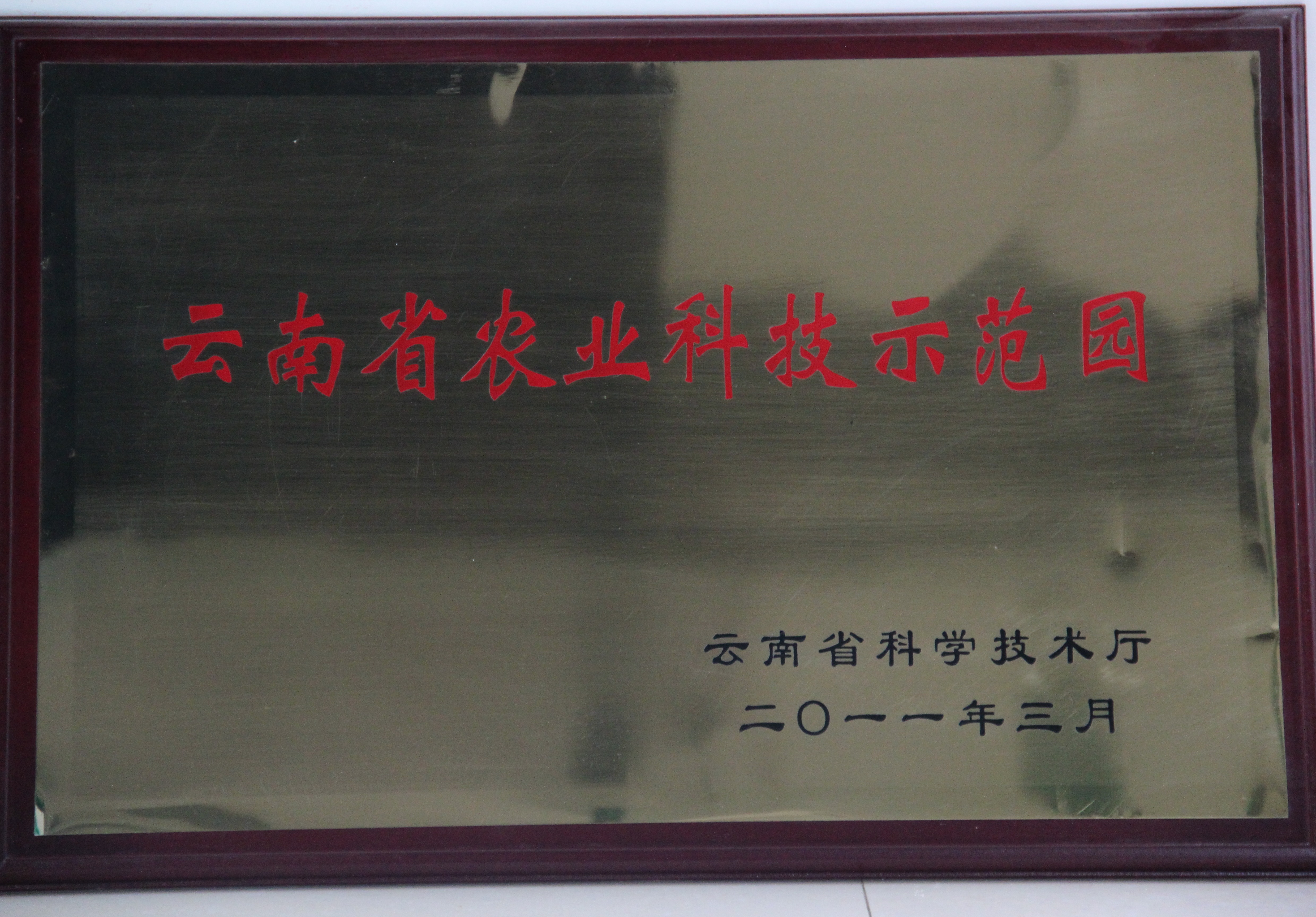 2011年苗乡三七科技示范园被认定为首批云南省农业科技示范园