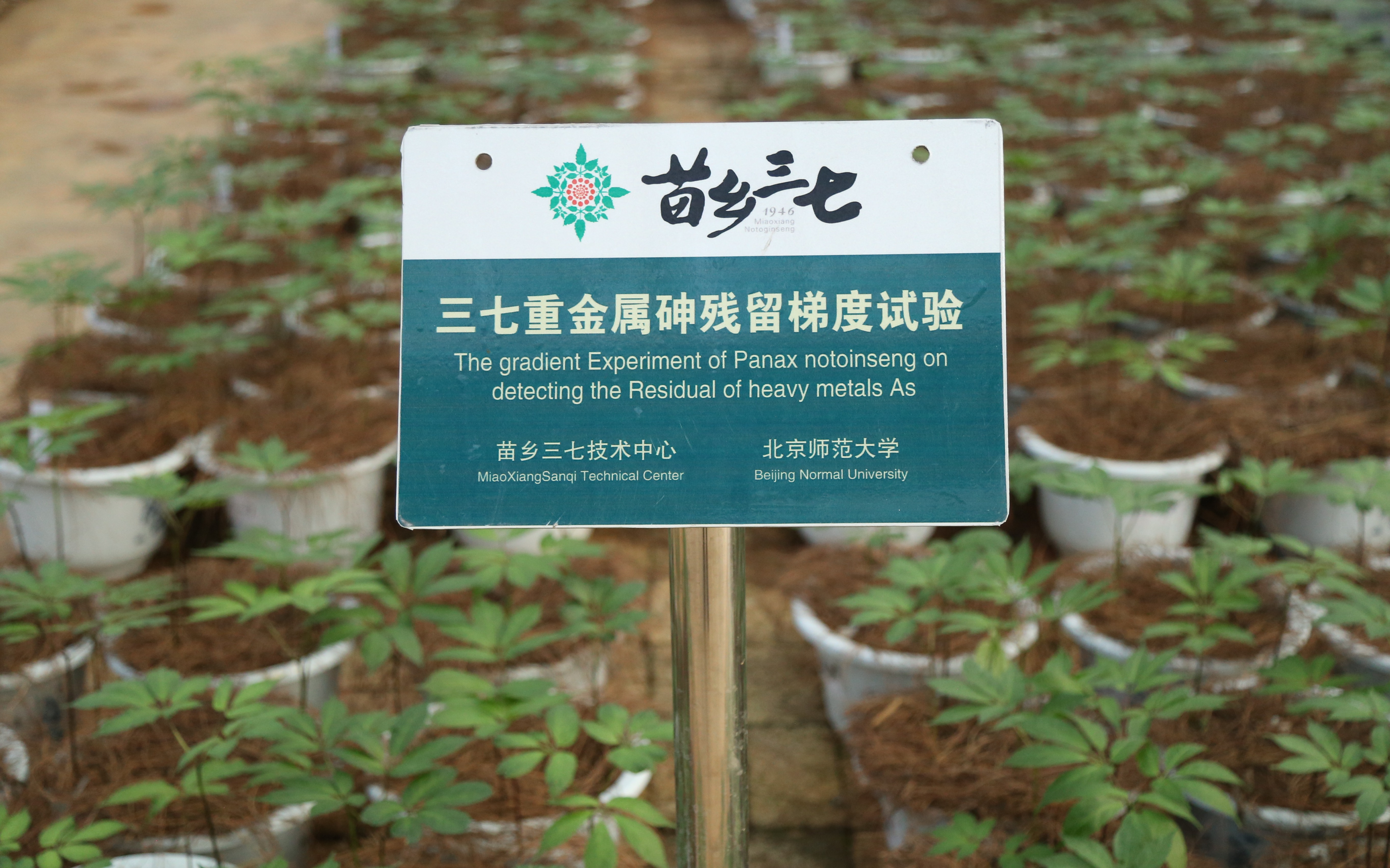 土壤重金属修复