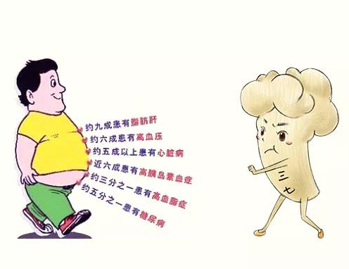 男性吃三七——减压 护肝 消肚子