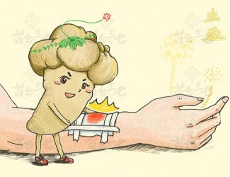 三七的强大功效之——止血