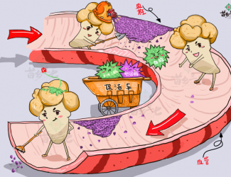 血瘀体质的表现与症状，如何用三七活血化瘀