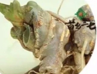 买三七注意事项，带剪口和不带剪口的巨大区别