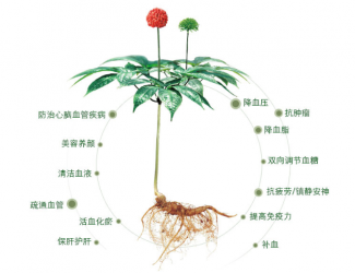 三七救人无国界，美军飞行员曾受益