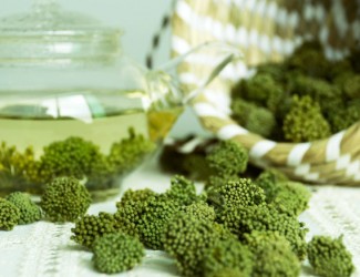 比慈禧吃的还多点料——三七花炒豆芽