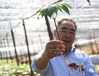张伯礼院士这样说三七！