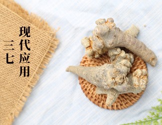 三七的功效作用在现代临床中的应用，揭秘医生如何用三七治病