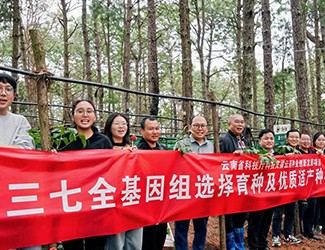 无数次从零到一，无数人前赴后继守护三七“种业芯片”