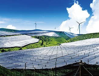 董林林博士如何看待苗乡全产业链品控管理体系？