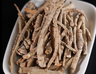 什么是三七大根？三七大根与主根有什么不同？