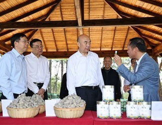 刘国中副总理调研文山三七产业，苗乡三七种植基地迎来国家关注